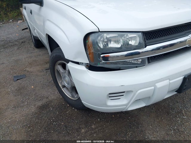 46358405 :رقم المزاد ، 1GNDT13S382179329 vin ، 2008 Chevrolet Trailblazer Fleet مزاد بيع