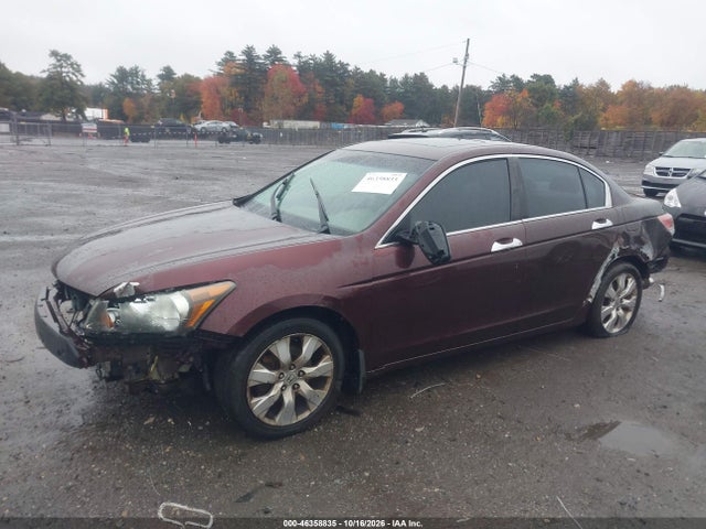 Продаж на аукціоні авто 2010 Honda Accord 3.5 Ex-l, vin: 5KBCP3F85AB011328, номер лоту: 46358835