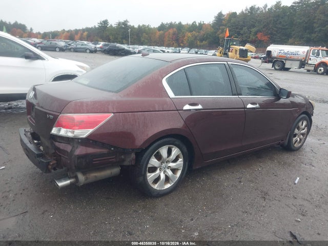 Продаж на аукціоні авто 2010 Honda Accord 3.5 Ex-l, vin: 5KBCP3F85AB011328, номер лоту: 46358835
