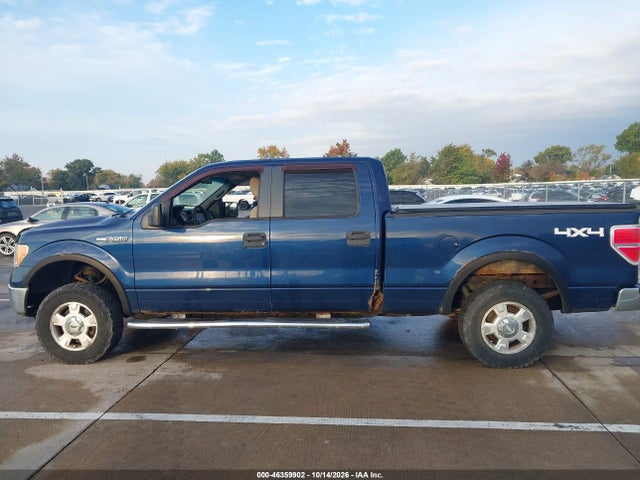 2010 Ford F-150 Xlt მანქანა იყიდება აუქციონზე, vin: 1FTFW1E81AFB80729, აუქციონის ნომერი: 46359902