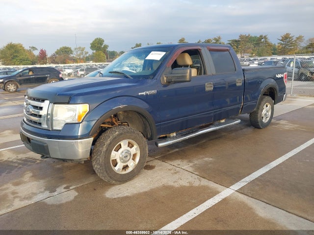 2010 Ford F-150 Xlt მანქანა იყიდება აუქციონზე, vin: 1FTFW1E81AFB80729, აუქციონის ნომერი: 46359902
