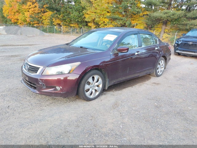 2010 Honda Accord 3.5 Ex-l მანქანა იყიდება აუქციონზე, vin: 5KBCP3F85AB011829, აუქციონის ნომერი: 46360176