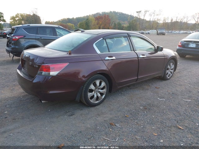 2010 Honda Accord 3.5 Ex-l მანქანა იყიდება აუქციონზე, vin: 5KBCP3F85AB011829, აუქციონის ნომერი: 46360176