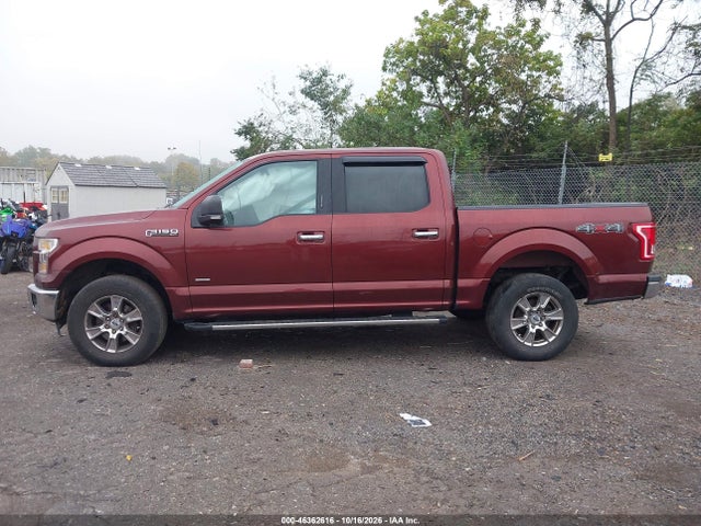 46362616 :رقم المزاد ، 1FTEW1EP0FFB53502 vin ، 2015 Ford F-150 Xlt مزاد بيع