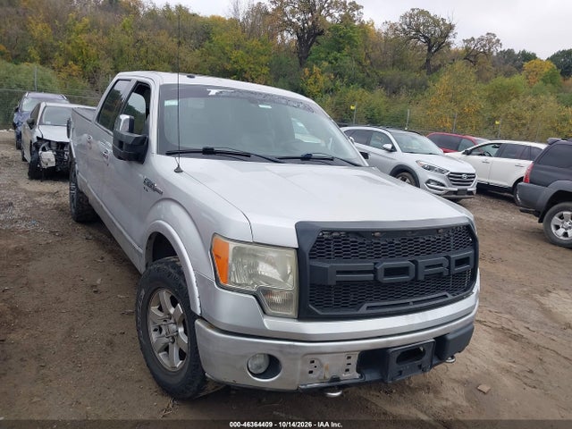 Продажа на аукционе авто 2009 Ford F-150 Platinum, vin: 1FTPW14V39FB42796, номер лота: 46364409