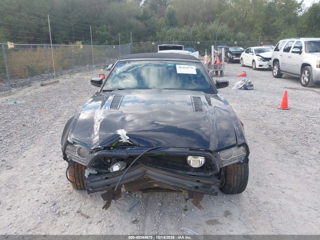 Ford Mustang Gt Premium 2014 1ZVBP8FF8E5332919 Image 12