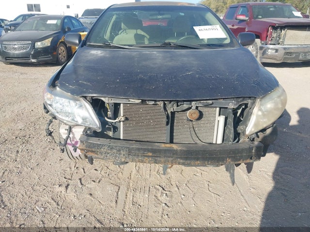 46365991 :رقم المزاد ، 2T1BU4EE5AC314663 vin ، 2010 Toyota Corolla Le مزاد بيع