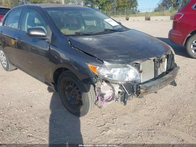 46365991 :رقم المزاد ، 2T1BU4EE5AC314663 vin ، 2010 Toyota Corolla Le مزاد بيع