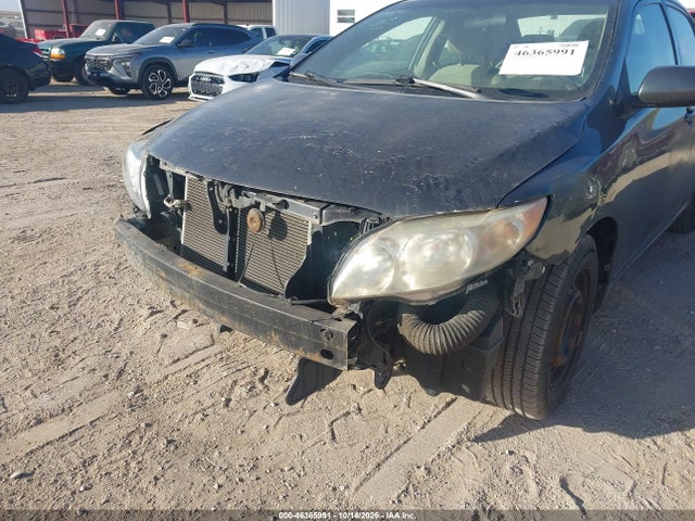 46365991 :رقم المزاد ، 2T1BU4EE5AC314663 vin ، 2010 Toyota Corolla Le مزاد بيع