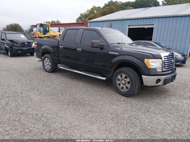 Продаж на аукціоні авто 2010 Ford F-150 Fx4/harley-davidson/king Ranch/lariat/platinum/xl/xlt, vin: 1FTFW1EV6AFD64859, номер лоту: 46369407