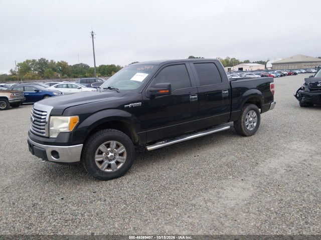 Продаж на аукціоні авто 2010 Ford F-150 Fx4/harley-davidson/king Ranch/lariat/platinum/xl/xlt, vin: 1FTFW1EV6AFD64859, номер лоту: 46369407