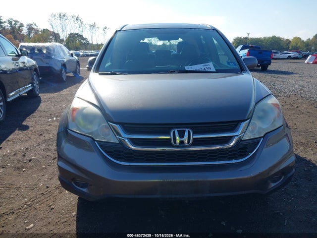 Продажа на аукционе авто 2010 Honda Cr-v Ex-l, vin: 5J6RE4H79AL034448, номер лота: 46372439