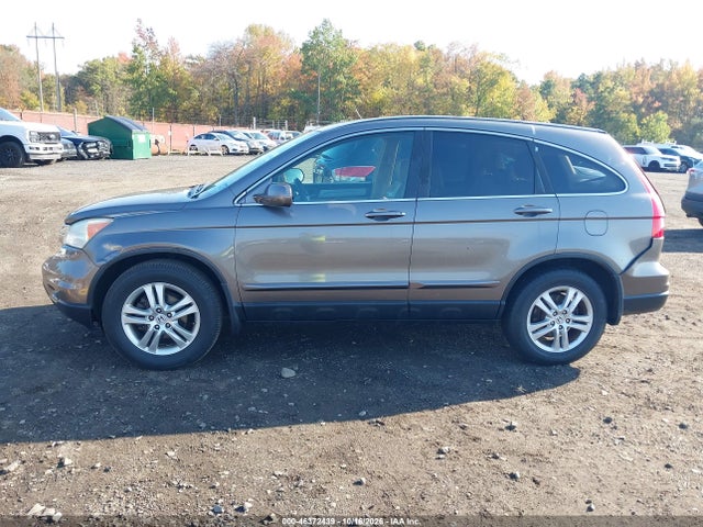 Продажа на аукционе авто 2010 Honda Cr-v Ex-l, vin: 5J6RE4H79AL034448, номер лота: 46372439