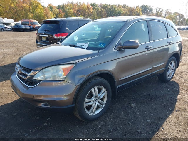 Продажа на аукционе авто 2010 Honda Cr-v Ex-l, vin: 5J6RE4H79AL034448, номер лота: 46372439