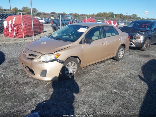 2011 Toyota Corolla Le მანქანა იყიდება აუქციონზე, vin: JTDBU4EE5B9146806, აუქციონის ნომერი: 46372894