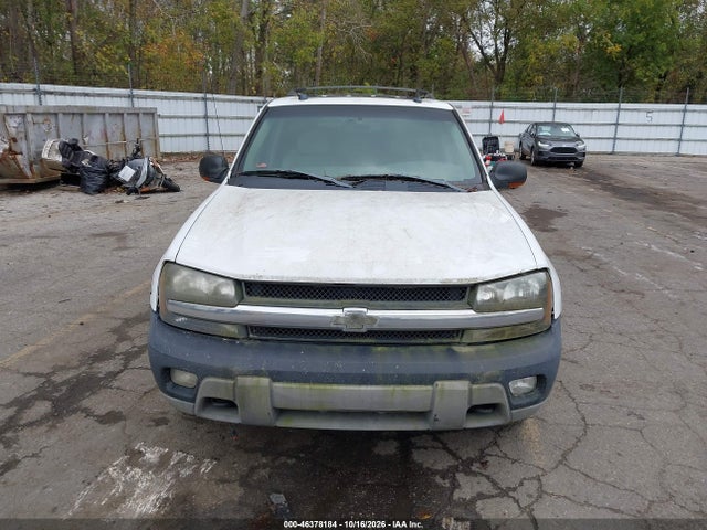 2005 Chevrolet Trailblazer Ls/lt მანქანა იყიდება აუქციონზე, vin: 1GNDT13S452356482, აუქციონის ნომერი: 46378184