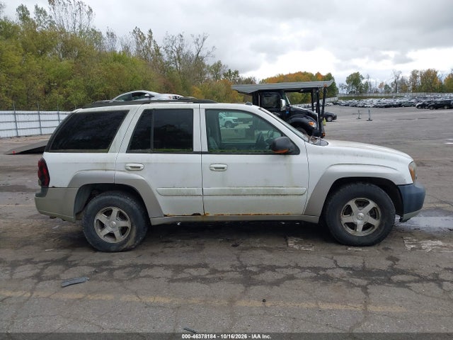 2005 Chevrolet Trailblazer Ls/lt მანქანა იყიდება აუქციონზე, vin: 1GNDT13S452356482, აუქციონის ნომერი: 46378184