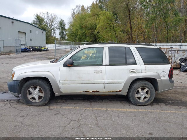2005 Chevrolet Trailblazer Ls/lt მანქანა იყიდება აუქციონზე, vin: 1GNDT13S452356482, აუქციონის ნომერი: 46378184