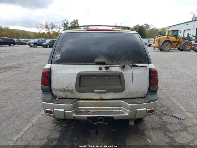 2005 Chevrolet Trailblazer Ls/lt მანქანა იყიდება აუქციონზე, vin: 1GNDT13S452356482, აუქციონის ნომერი: 46378184