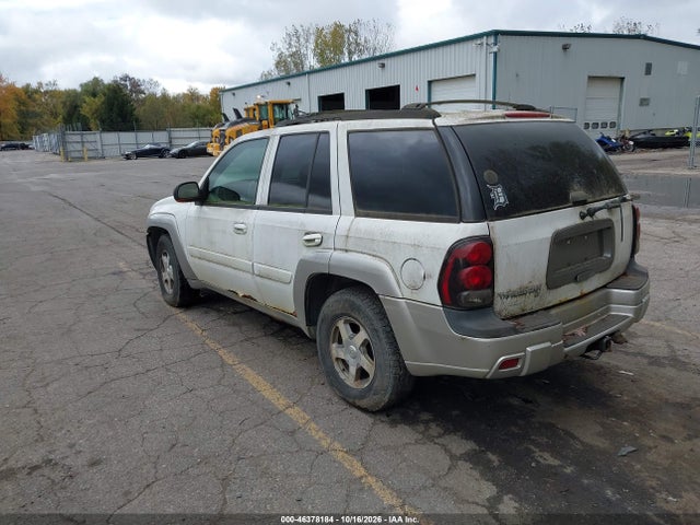 2005 Chevrolet Trailblazer Ls/lt მანქანა იყიდება აუქციონზე, vin: 1GNDT13S452356482, აუქციონის ნომერი: 46378184