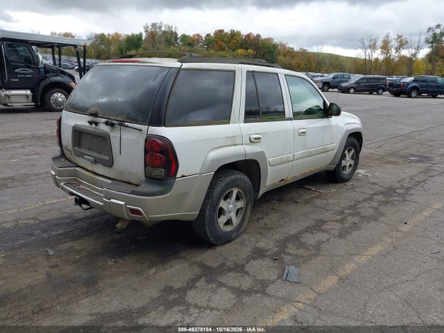 2005 Chevrolet Trailblazer Ls/lt მანქანა იყიდება აუქციონზე, vin: 1GNDT13S452356482, აუქციონის ნომერი: 46378184