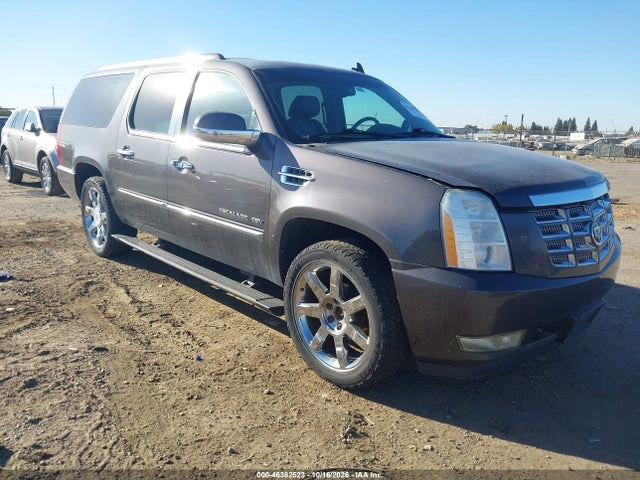 Продаж на аукціоні авто 2010 Cadillac Escalade Esv Premium, vin: 1GYUKJEF0AR249095, номер лоту: 46382523