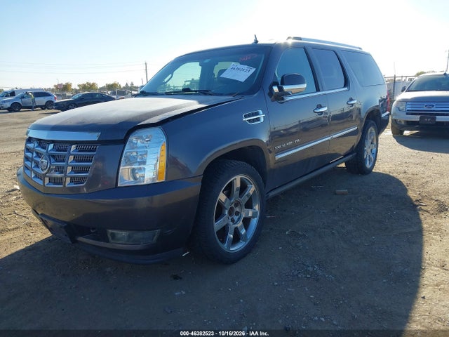Продажа на аукционе авто 2010 Cadillac Escalade Esv Premium, vin: 1GYUKJEF0AR249095, номер лота: 46382523