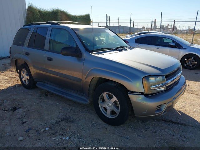 46385133 :رقم المزاد ، 1GNDS13S952121403 vin ، 2005 Chevrolet Trailblazer Ls مزاد بيع