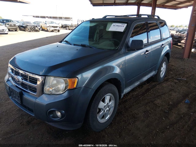 Продаж на аукціоні авто 2010 Ford Escape Xlt, vin: 1FMCU0D77AKD07711, номер лоту: 46386614