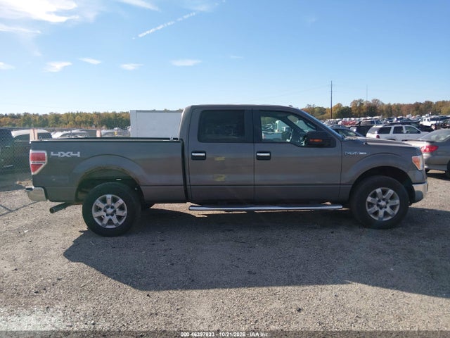 2013 Ford F-150 Xlt მანქანა იყიდება აუქციონზე, vin: 1FTFW1EF4DKD18614, აუქციონის ნომერი: 46397833