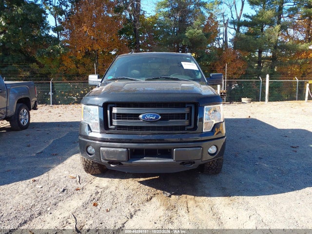 Aukcja sprzedaży 2014 Ford F-150 Stx, vin: 1FTEX1EM9EFC29137, numer aukcji: 46398181