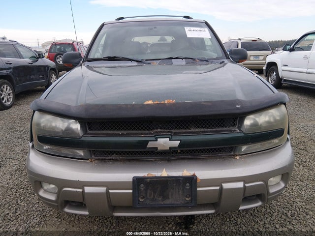 Продаж на аукціоні авто 2002 Chevrolet Trailblazer Ltz, vin: 1GNDT13S922369336, номер лоту: 46402865