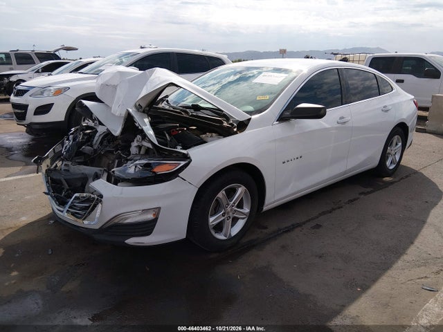 46403462 :رقم المزاد ، 1G1ZC5ST0KF193150 vin ، 2019 Chevrolet Malibu 1fl مزاد بيع