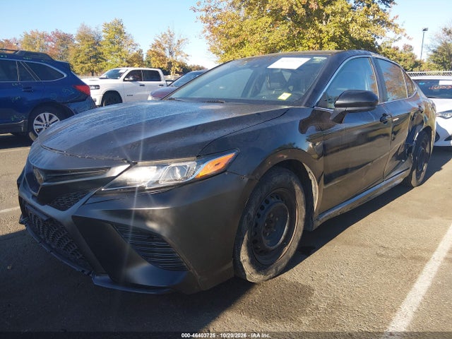 Продажа на аукционе авто 2019 Toyota Camry Se, vin: 4T1B11HK7KU707797, номер лота: 46403725
