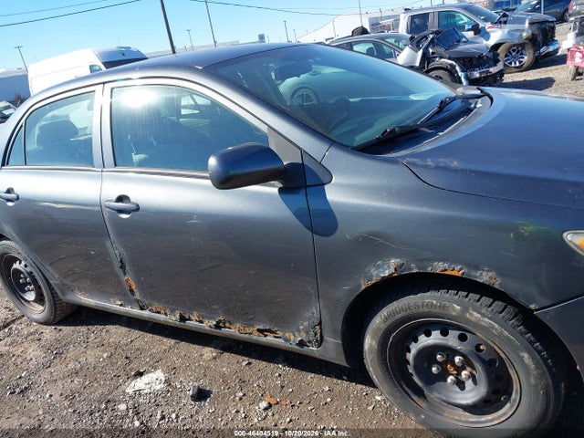 46404519 :رقم المزاد ، 2T1BU40E49C181915 vin ، 2009 Toyota Corolla Le مزاد بيع