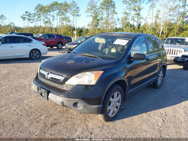 Aukcja sprzedaży 2009 Honda Cr-v Ex-l, vin: JHLRE48759C020051, numer aukcji: 46406052