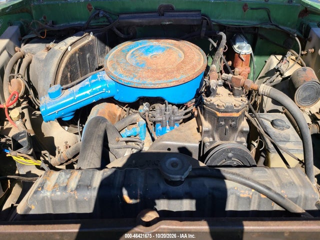 1973 Ford F100 მანქანა იყიდება აუქციონზე, vin: F10HNS42203, აუქციონის ნომერი: 46421675