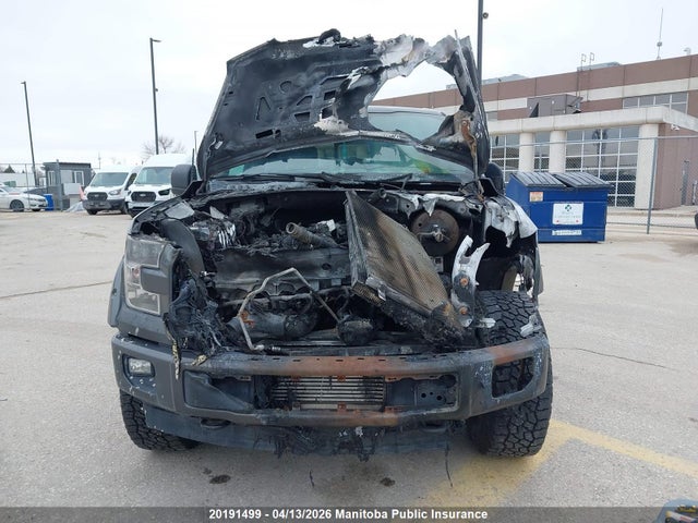 20191499 :رقم المزاد ، 1FTEW1EG5HKD36632 vin ، 2017 Ford F150 Xlt Supercrew مزاد بيع