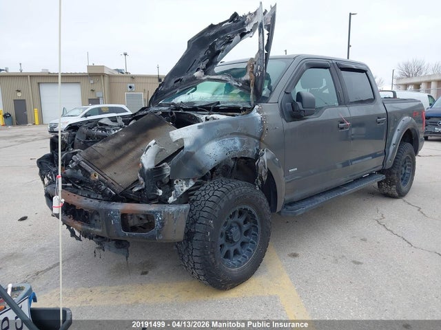 20191499 :رقم المزاد ، 1FTEW1EG5HKD36632 vin ، 2017 Ford F150 Xlt Supercrew مزاد بيع