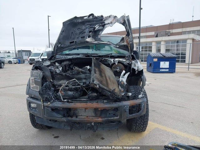 20191499 :رقم المزاد ، 1FTEW1EG5HKD36632 vin ، 2017 Ford F150 Xlt Supercrew مزاد بيع