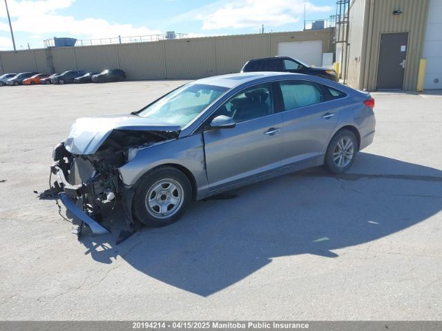 5NPE24AF8HH483410 Hyundai SONATA GLS