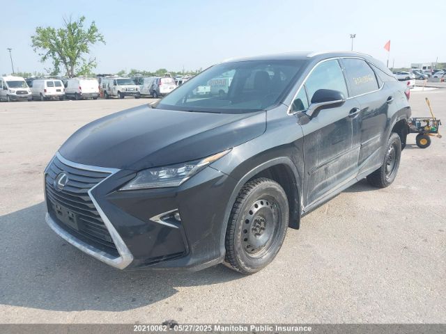2T2BZMCA4GC014683 Lexus RX350