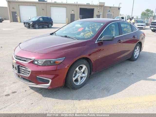 1G1ZB5STXGF201619 Chevrolet MALIBU LS