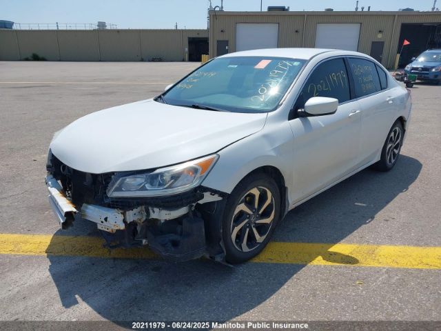1HGCR2F36HA806173 Honda k24w1