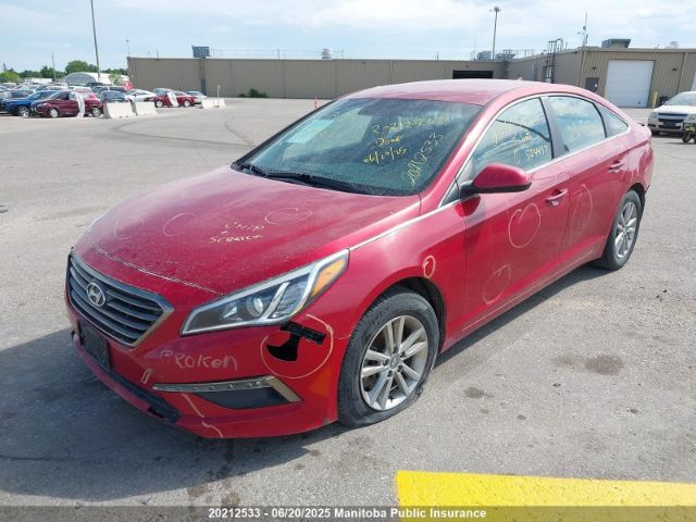 5NPE24AF4HH524437 Hyundai 2017