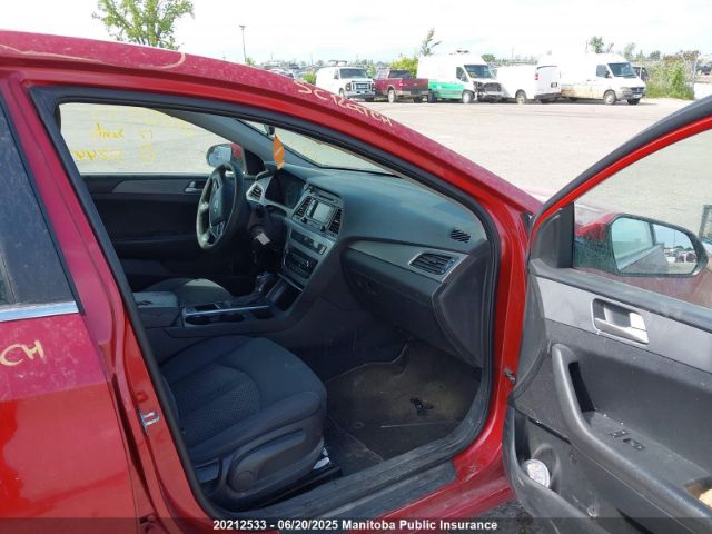5NPE24AF4HH524437 Hyundai 2017