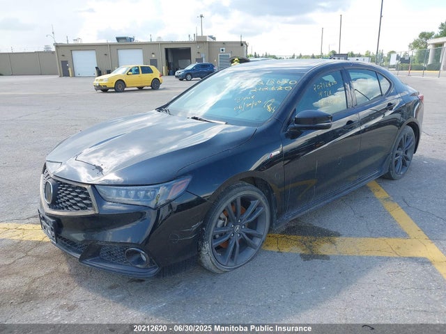 19UUB1F65KA800675 Acura k24w7