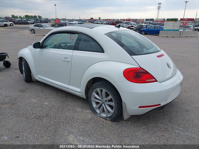 3VWJ07AT6FM629464 Volkswagen Beetle