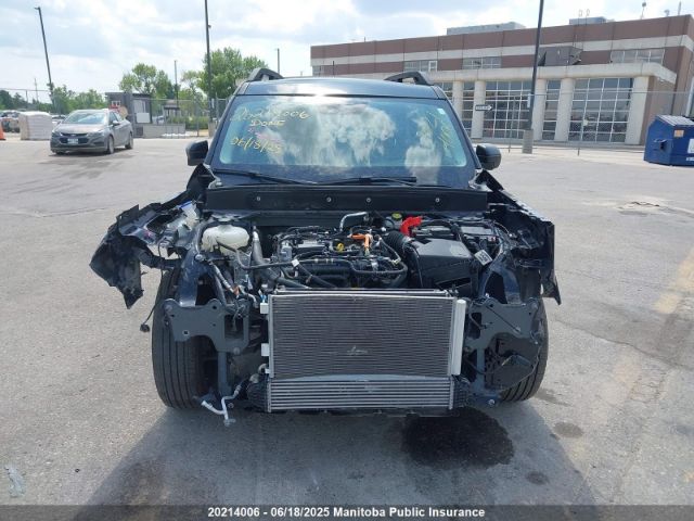 3FMCR9C65PRD27913 Ford dragon