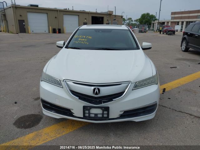 19UUB1F59FA801888 Acura k24w7
